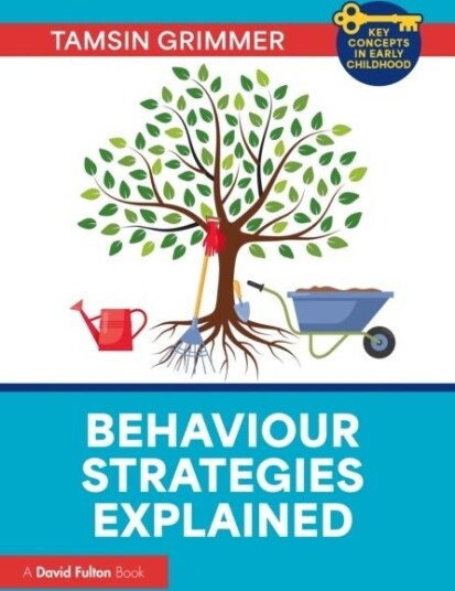 Behaviour Strategies Explained