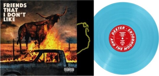 Friends That I Dont Like Vinyl