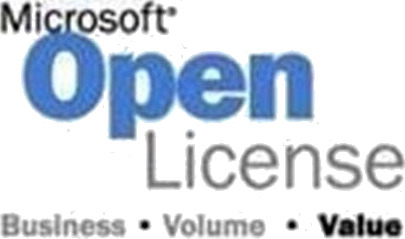 Microsoft Office Professional Plus - Elektronisk