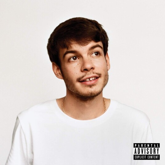 Rex Orange County  Pony  CD
