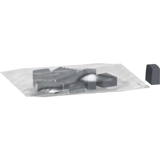 Schneider Electric Endedeksel samleskinne 2P pk à 10stk Schneider - 1638069
