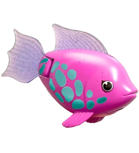 Swims Rainbow Reef Rainbow Fish 6072523