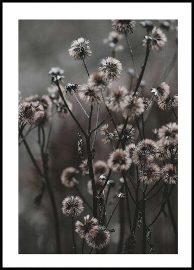 Forest Flowers Plakat Plakat / 100x150cm