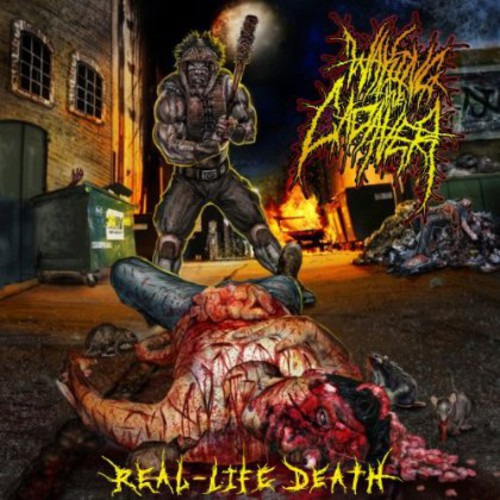 Waking The Cadaver Real: Lifedeath CD