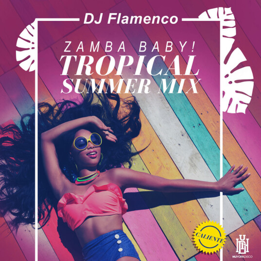 DJ Flamenco Zamba Baby Tropical Summer Mix CD