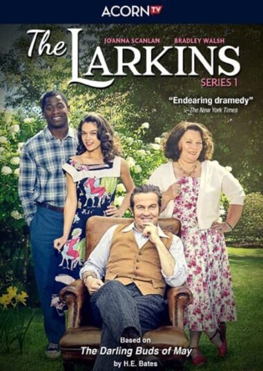 The: Series 1 Larkins DVD
