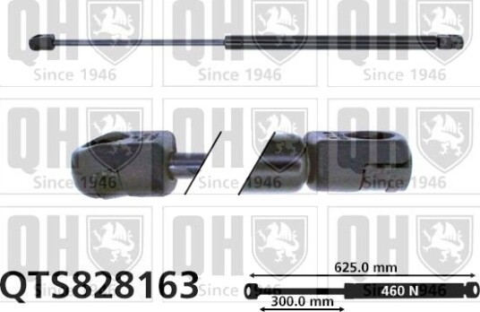 QUINTON HAZELL QTS828163 Baklukedemper