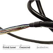 MediaTronixs Eivind Aarset : Connected CD (2005) Pre-Owned