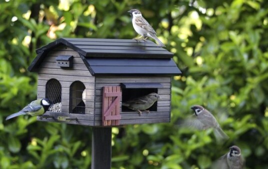 Wildlife Garden Fuglemater Med Multimater Låve Wildlife Garden Fuglemater Med Multimater Låve