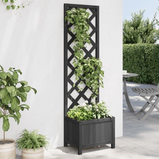 Plantekasse med espalier svart heltre gran Plantekasse med espalier svart heltre gran