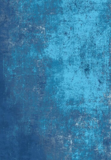 Wilton teppe Lynton mørke blå Størrelse: 200 x 280 cm