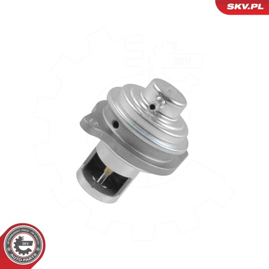 EGR Ventil ESEN SKV 14SKV326