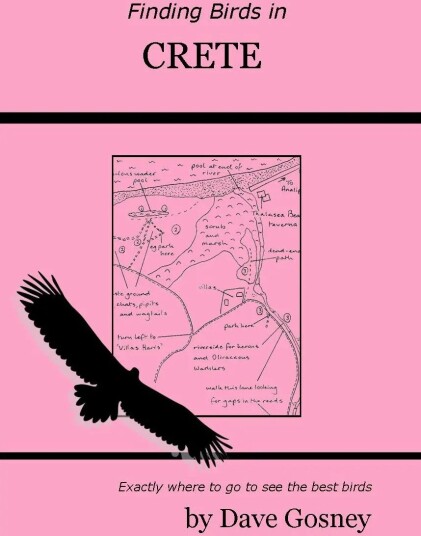 Finding Birds in Crete