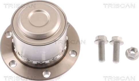 TRISCAN 8530 29131 Hjullager