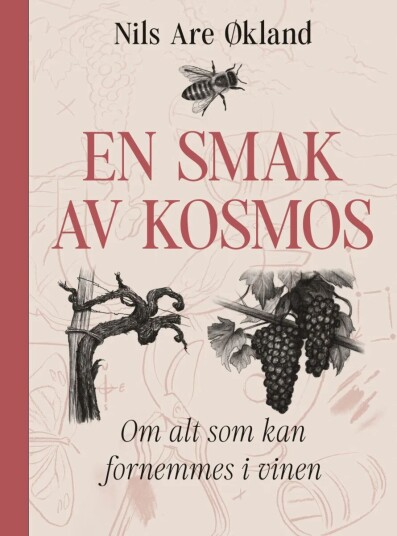 En Smak Av Kosmos Av Nils Are Økland