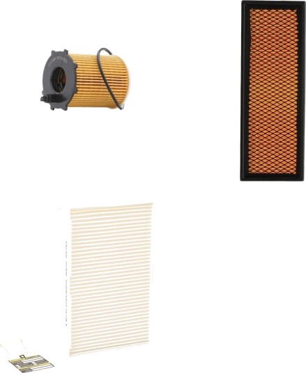 Filtersett RIDEX PLUS 4055F3063P