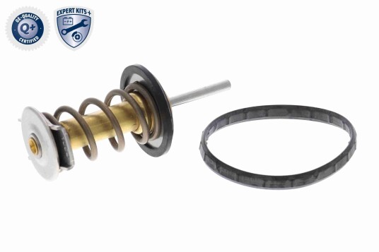Termostat ACKOJA A70 99 0033