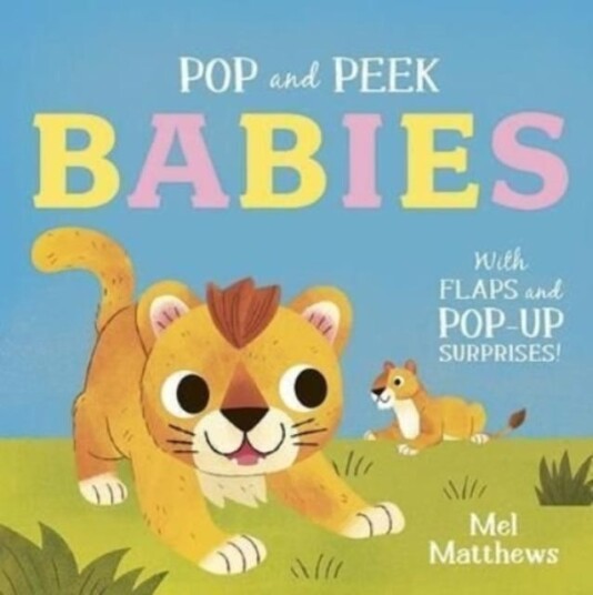 Pop And Peek: Babies Pop And Peek: Babies