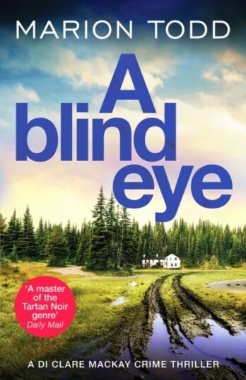 A Blind Eye Av Marion Todd