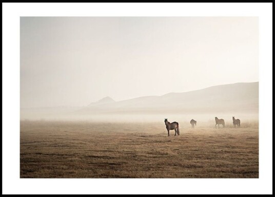 Horses in The Fog Plakat Plakat / 30x40cm Horses in The Fog Plakat Plakat / 30x40cm