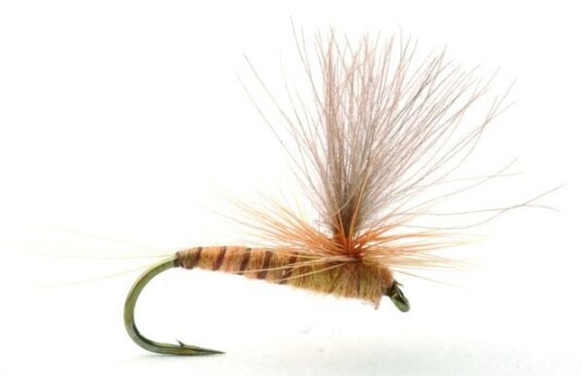 Umpqua Flies Aurivilli Sand/orange