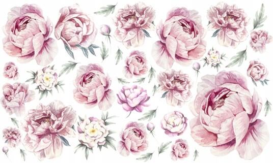 Veggklistremerke Peoner / Rosa