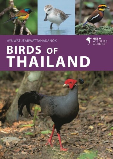 Birds of Thailand Birds of Thailand