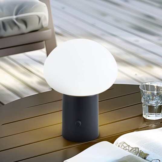 Lindby LED oppladbar bordlampe Zelie svart aluminium IP44