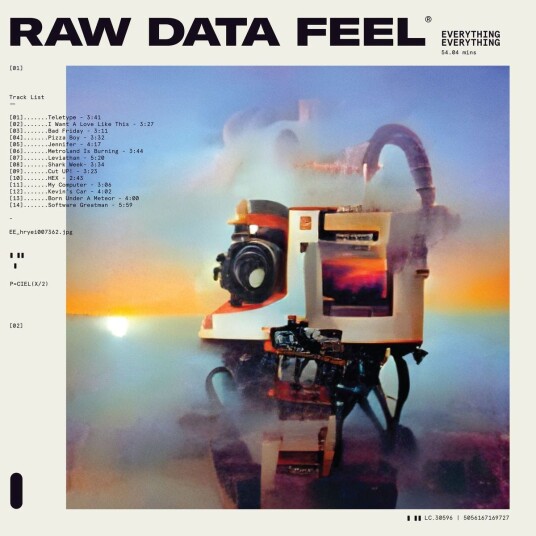 Everything Everything Raw Data Feel LP/Vinyl Everything Everything Raw Data Feel LP/Vinyl