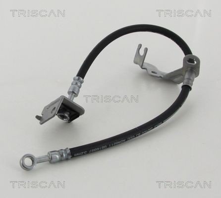 Bremseslange TRISCAN 8150 43199