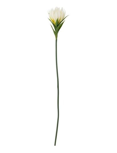 Bloomingville Lily Stem White H76CM