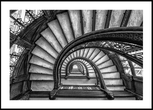 The Rookery Poster Plakat / 21x30cm The Rookery Poster Plakat / 21x30cm
