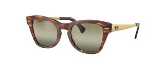 Ray-Ban RB0707SM 954/G4 5321
