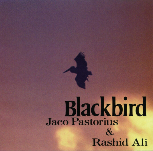 Jaco Pastorius, Rashid Ali Blackbirds CD