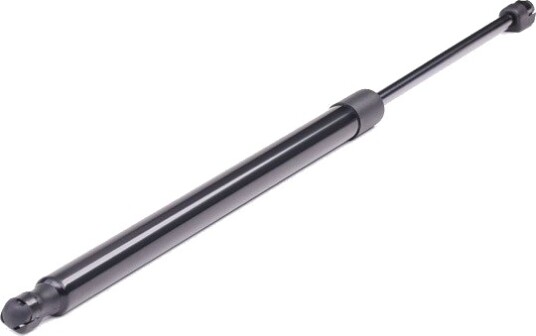 RIDEX 219G0422 Baklukedemper