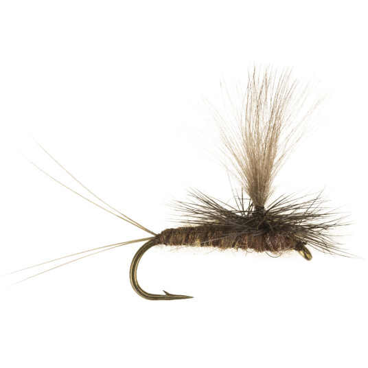 Umpqua MARGINATA - 14 oneSize none Umpqua MARGINATA - 14 oneSize none