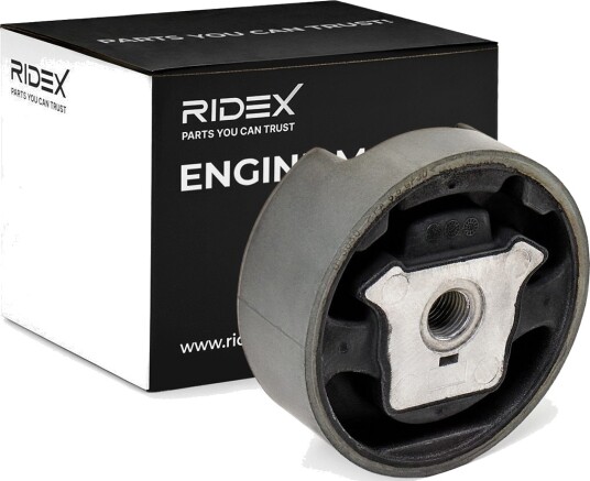 RIDEX 247E0008 Motorfeste