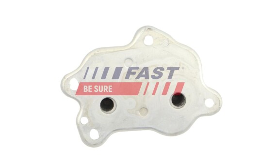 stang, stabilisator FAST FT01598 stang, stabilisator FAST FT01598