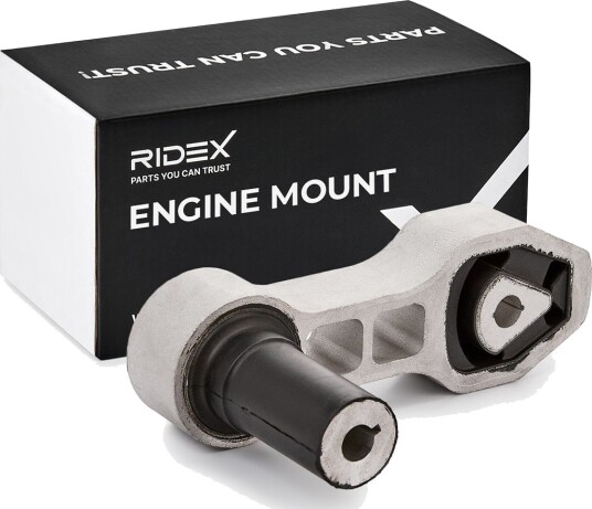 RIDEX 247E0971 Motorfeste