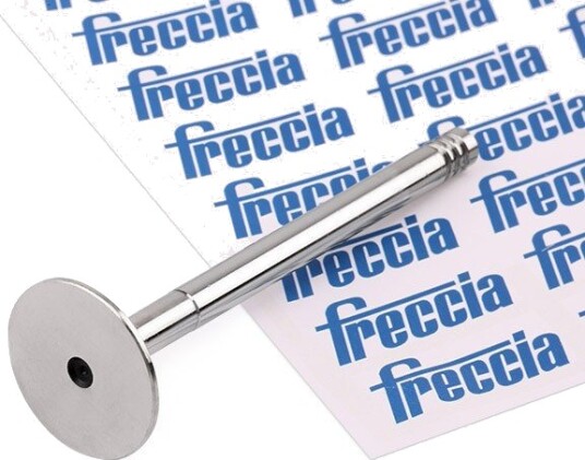 FRECCIA R6144/BMCR Utløpsventil