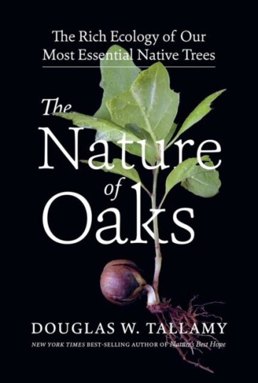The Nature Of Oaks Av Douglas W. Tallamy