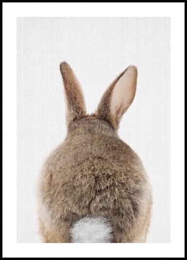 Peekaboo Bunny Tail Poster Plakat / 30x40cm Peekaboo Bunny Tail Poster Plakat / 30x40cm