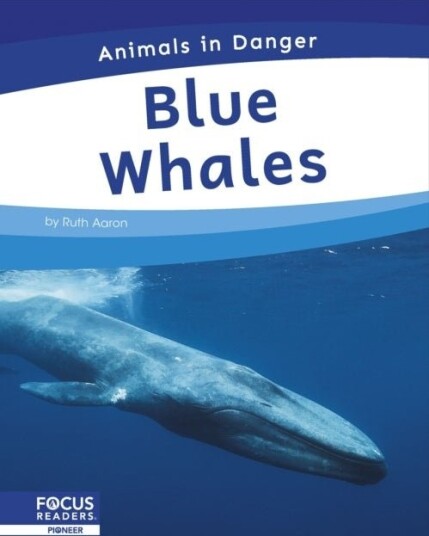 Blue Whales Blue Whales