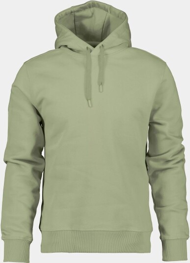 Didriksons Ven Men's Hoodie Light Moss