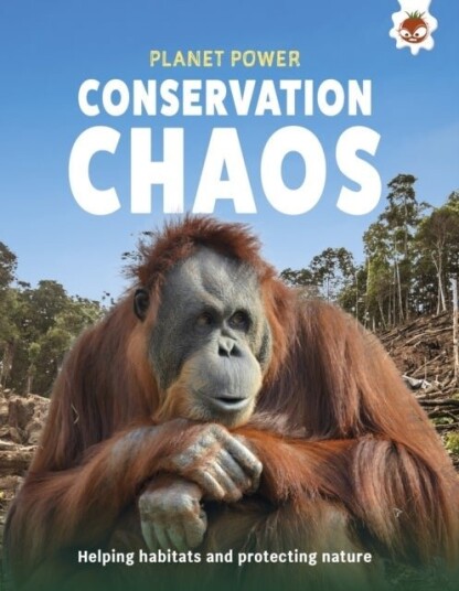 Conservation Chaos Conservation Chaos