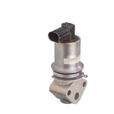 EGR Ventil MAGNETI MARELLI 571822112011