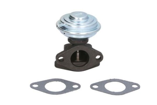 EGR Ventil ENGITECH ENT500137