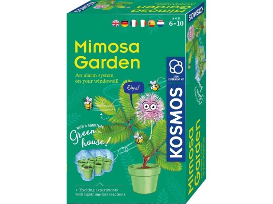 Kosmos Mimosa Garden Drivhus Botanikk 6 År Flerfarget