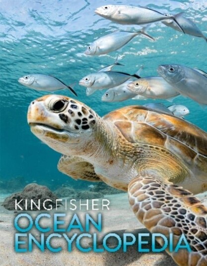 The Kingfisher Ocean Encyclopedia The Kingfisher Ocean Encyclopedia