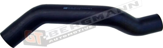 GT BERGMANN GT52 132 Ladeluftslange
